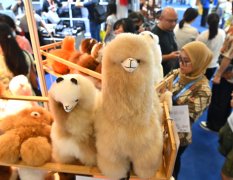 我国外贸“伴侣圈”越来越大 2024年外贸表示亮眼